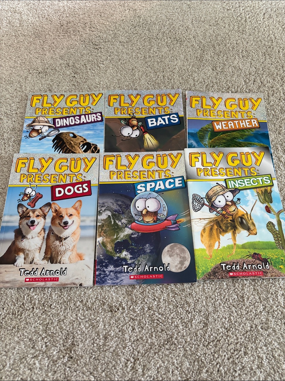 Scholastic Fly Guy Presents Set — Yellow Logo with Colorful Covers (6 Books)